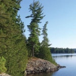 로지 온 더 포인트 - 스카이스캐너 호텔