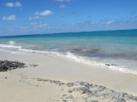 골든 팜스 B&B - 스카이스캐너 호텔