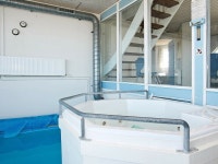 퀘인트 홀리데이 홈 인 히츠살스 위스 사우나 - 스카이스캐너 호텔