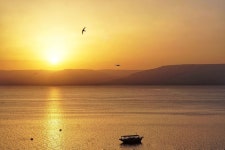 도나 캐슬 - 스카이스캐너 호텔