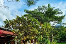 컨트리 클럽 에코 - 카사 하르딘 - 스카이스캐너 호텔