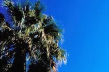 발라댕 - 칸느 르 카네 | 2023년 최신 가격 | 호텔 | 스카이스캐너