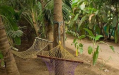 OYO 702035 Nisarg Resort And Farmhouse - 스카이스캐너 호텔