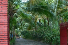 와일드 팜스 온 시 | 2023년 최신 가격 | 호텔 | 스카이스캐너