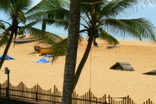 와일드 팜스 온 시 | 2023년 최신 가격 | 호텔 | 스카이스캐너