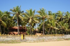 와일드 팜스 온 시 | 2023년 최신 가격 | 호텔 | 스카이스캐너