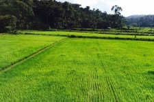 H And S Stays | 2023년 최신 가격 | 호텔 | 스카이스캐너