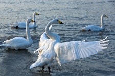 진장 인 (룽청 청산 애비뉴 지점) | 2023년 최신 가격 | 호텔 | 스카이스캐너