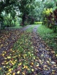 Aire Libre Descanso - 스카이스캐너 호텔
