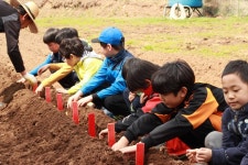   3- 4 뻥튀기반 : Posts- Classting 화암초등학교 3- 4 뻥튀기반 - Classting