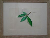   2013년도 해남서 4-4반 모여라!! : Posts- Classting 해남서초등학교 2013년도 해남서 4-4반 모여라!! - Classting