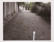 ONE AND J. Gallery at EXPO CHICAGO 2017 | ONE AND J. Gallery | Artsy