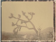 Bombay Beach Biennale | Instantdreams | Artsy