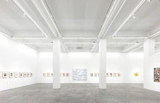 Zhang Hui | Long March Space | Artsy