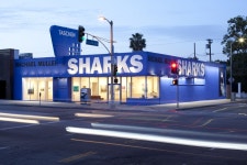 Michael Muller: Sharks | TASCHEN | Artsy
