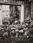 Strength in Numbers: Photography in Groups | Carnegie Museum of Art | Artsy
