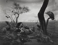 Hiroshi Sugimoto - Black Box | Foam Fotografiemuseum Amsterdam | Artsy