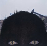 Galleria il Ponte at The Armory Show 2013 | Galleria il Ponte | Artsy