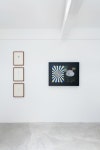 Wild Flowers (wildness is contextual!) | narrative projects | Artsy