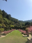 강원도 공원/자연 - [강원 춘천] 제이드가든 입장권 - 마이리얼트립 강원도 공원/자연 - [강원 춘천] 제이드가든 입장권