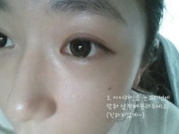 리뷰 초간단 데일리 브라운 아이메이크업 파워리뷰 by chltjs19kr - 언니의파우치