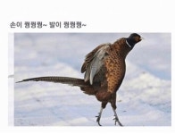 언파프렌즈 3기🎉 by 언파나라언파공주 - 언니의파우치