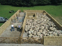 Art UK | Discover Artists