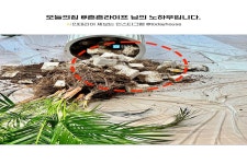 블라인드 | 커피나무 뉴스