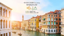 블라인드 | 아시아나항공 뉴스