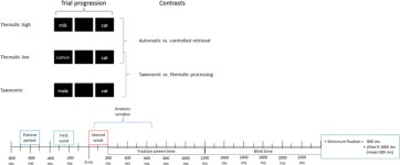 [PDF] The neural basis of automatic and controlled semantic cognition : spatiotemporal dynamics revealed by... 