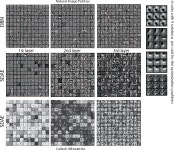 [PDF] Understanding Representations Learned in Deep Architectures | Semantic Scholar