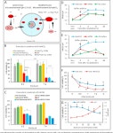 Sodium bicarbonate nanoparticles modulate the tumor pH and enhance the cellular uptake of doxorubicin | Semantic Scholar
