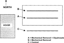 Influence of Stem Cutting and Glyphosate Treatment of Lonicera maackii, an Exotic and Invasive Species, on Stem Regrowth and... 