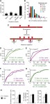 [PDF] Clustered Dynamics of Inhibitory Synapses and Dendritic Spines in the Adult Neocortex | Semantic Scholar