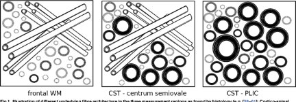 [PDF] Assessing White Matter Microstructure in Brain Regions with Different Myelin Architecture Using MRI | Semantic Scholar