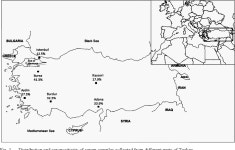 [PDF] A serological investigation of Bartonella henselae infection in cats in Turkey. | Semantic Scholar