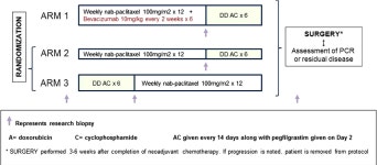 [PDF] SWOG S0800 (NCI CDR0000636131): addition of bevacizumab to neoadjuvant nab-paclitaxel with dose-dense doxorubicin and... 