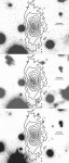 [PDF] Optical observations of psr j0205+6449 – the next optical pulsar? | Semantic Scholar
