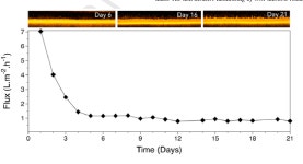 Fouling control in a gravity-driven membrane (GDM) bioreactor treating primary wastewater by using relaxation and/or air scouring... 