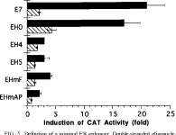 [PDF] A transcriptional enhancer required for the differential expression of the human estrogen receptor in breast cancers.... 