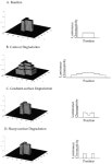 [PDF] Informational primacy of visual dimensions: Specialized roles for luminance and chromaticity in figure-ground perception... 
