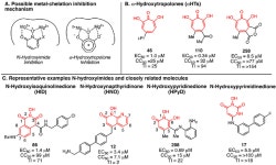 Chemical Approaches to Inhibiting the Hepatitis B Virus Ribonuclease H. | Semantic Scholar