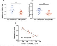 [PDF] Circ-VANGL1 promotes the progression of osteoporosis by absorbing miRNA-217 to regulate RUNX2 expression. | Semantic Scholar