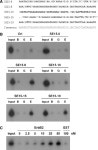 In vitro selection of RNA aptamer and specific targeting of ErbB2 in breast cancer cells. | Semantic Scholar