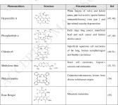 [PDF] Photodynamic therapy for cancer: Role of natural products. | Semantic Scholar
