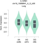 Association of Single Nucleotide Polymorphisms in Interleukin-12 Receptor (IL-12Rβ1 and IL-12Rβ2) with Asthma in a Korean... 