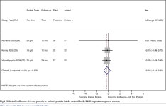 [PDF] Animal versus plant protein and adult bone health: A systematic review and meta-analysis from the National Osteoporosis... 