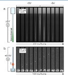 [PDF] Wafer-scale fabrication of nanofluidic arrays and networks using nanoimprint lithography and lithographically patterned... 