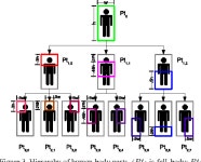 [PDF] Detection and Segmentation of Multiple, Partially Occluded Objects by Grouping, Merging, Assigning Part Detection Responses... 
