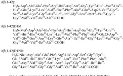 [PDF] Neurotoxicity and oxidative stress in D1M-substituted Alzheimers Aβ(1-42): relevance to N-terminal methionine chemistry... 